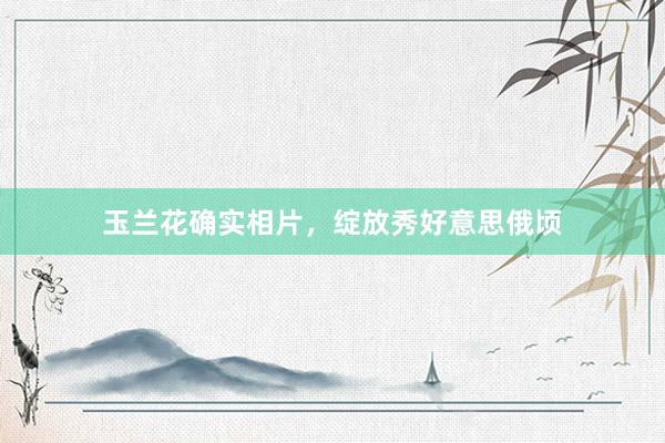 玉兰花确实相片,绽放秀好意思俄顷